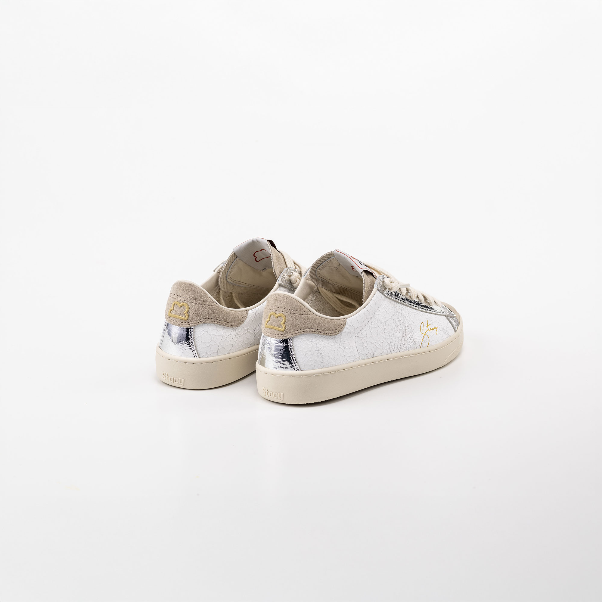 Rose Silver Day Rose Silver Day